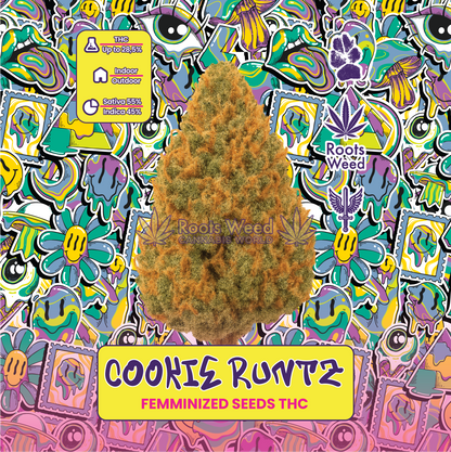 SEEDS THC COOKIE RUNTZ FEMINIZED
