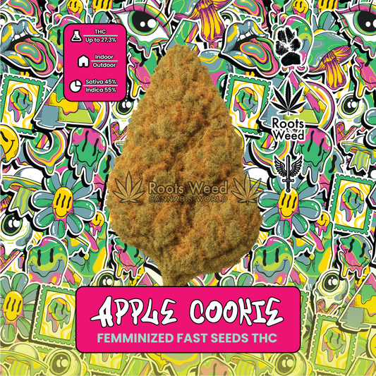 SEEDS THC APPLE COOKIE FEMINIZED FAST