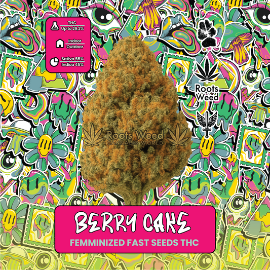 SEEDS THC BERRY CAKE FEMINIZED FAST