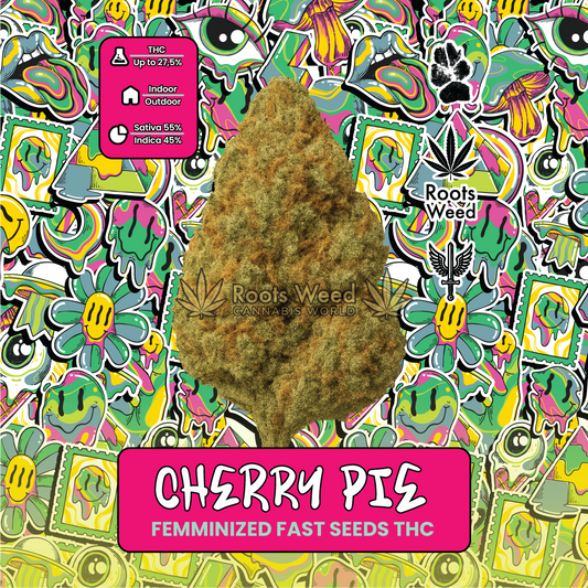 SEEDS THC CHERRY PIE FEMINIZED FAST