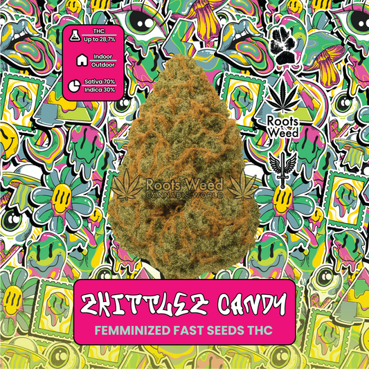 SEEDS THC ZKITTLEZ CANDY FEMINIZED FAST