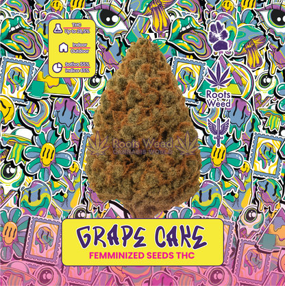 SEEDS THC GRAPE CAKE FEMINIZED