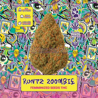 SEEDS THC RUNTZ ZOOMBIE FEMINIZED