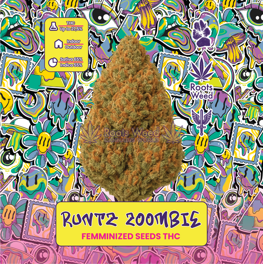 SEEDS THC RUNTZ ZOOMBIE FEMINIZED